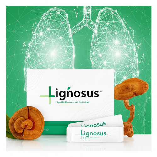 Lignosus atemwege lunge - atemwege,